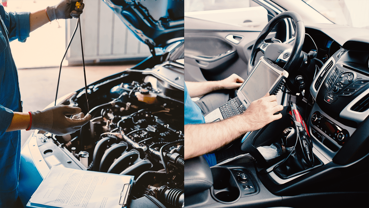 News article DK Care LLC